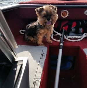 Meet your Posher, Sharray